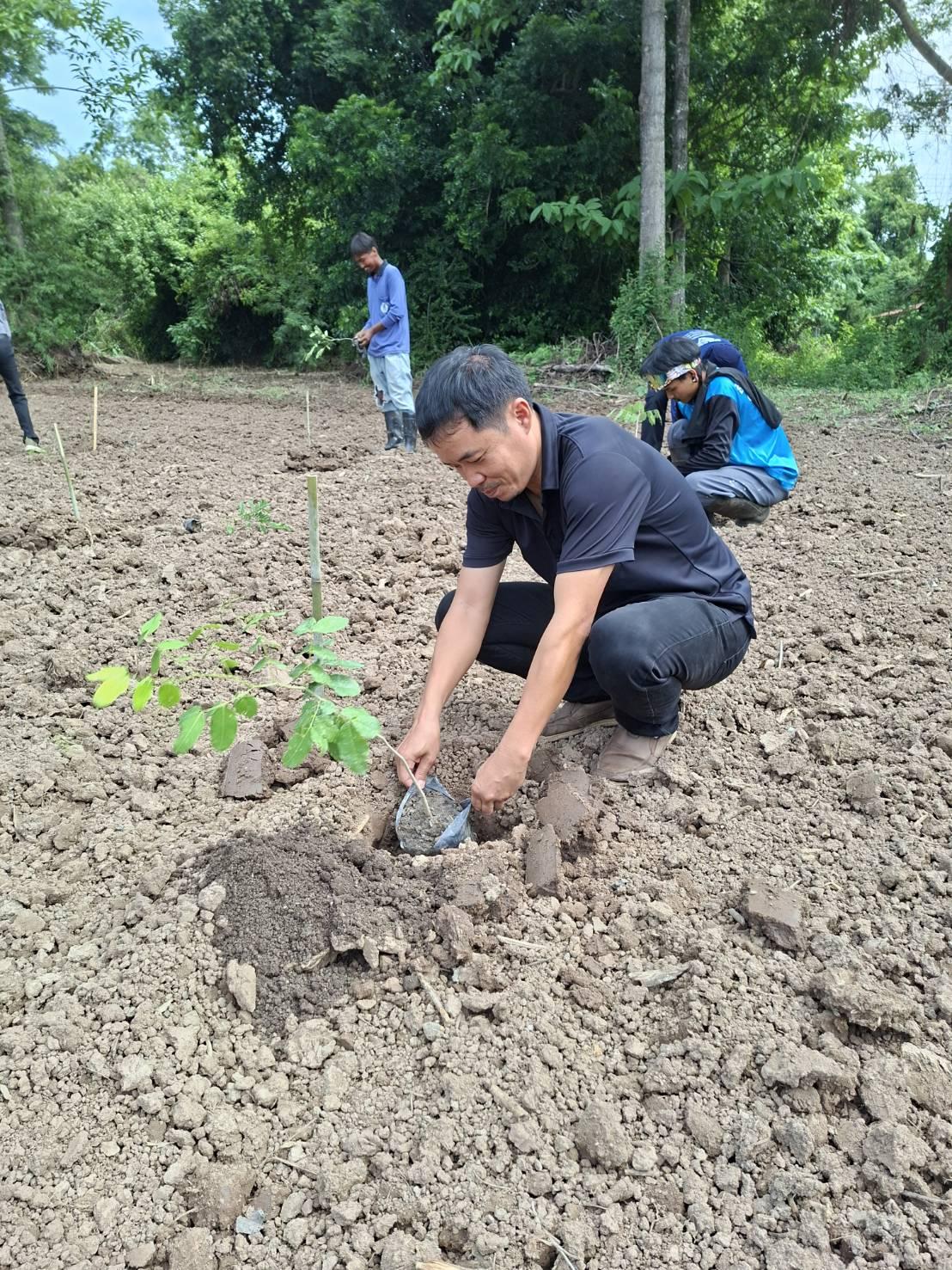 ภาพประกอบที่ 9