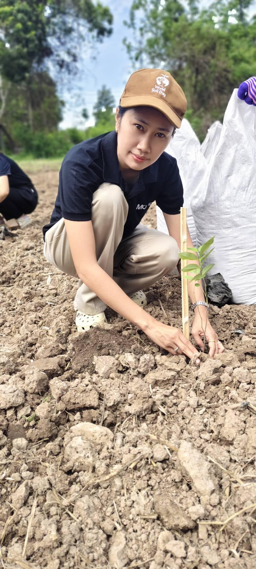 ภาพประกอบที่ 11