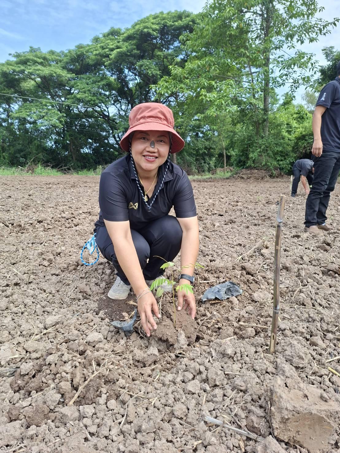 ภาพประกอบที่ 2