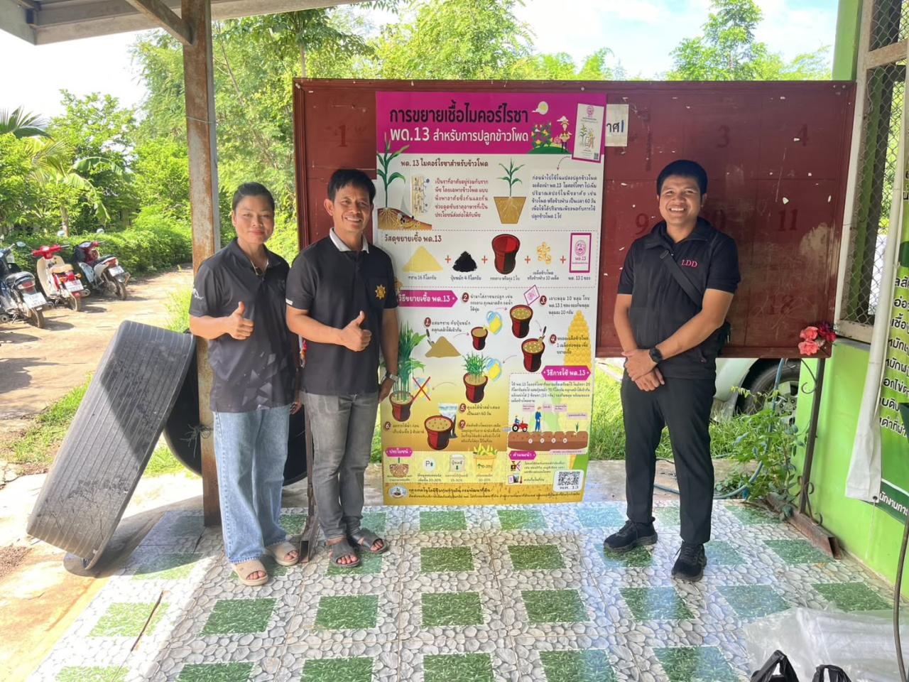 ภาพประกอบที่ 11