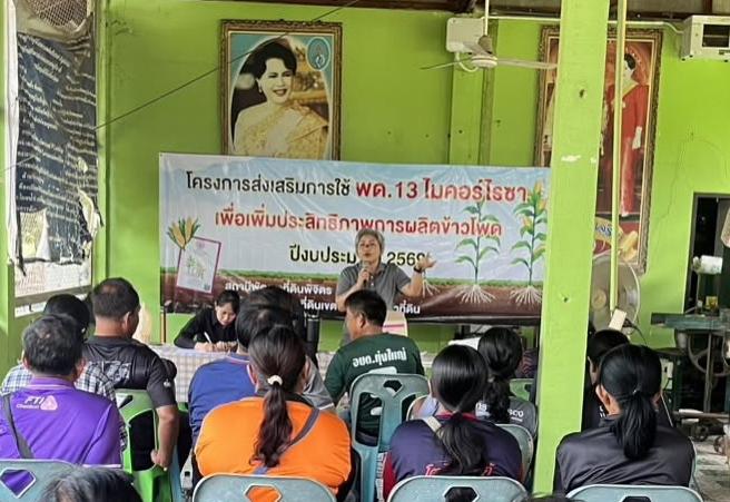 ภาพประกอบที่ 0