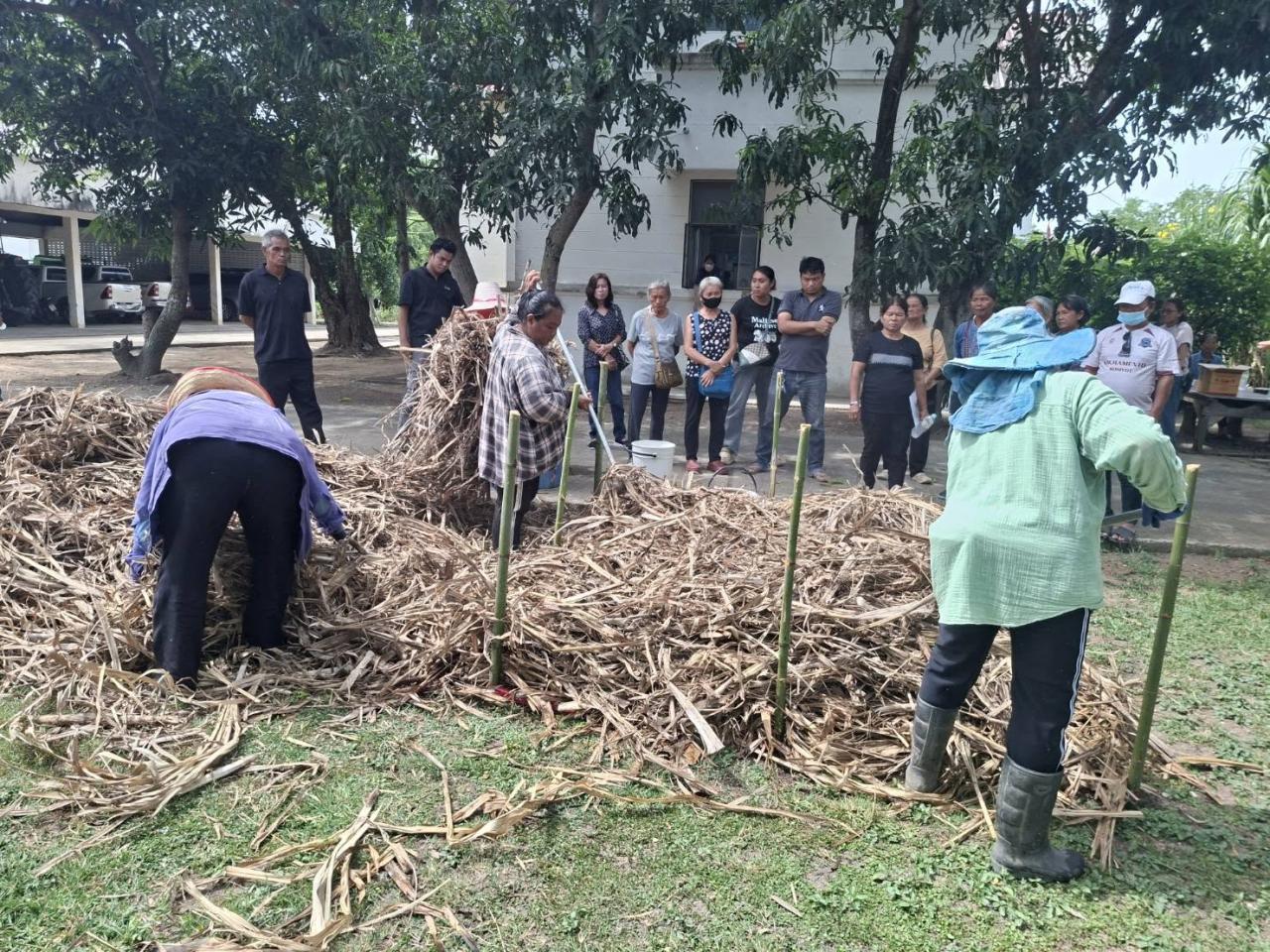 ภาพประกอบที่ 5