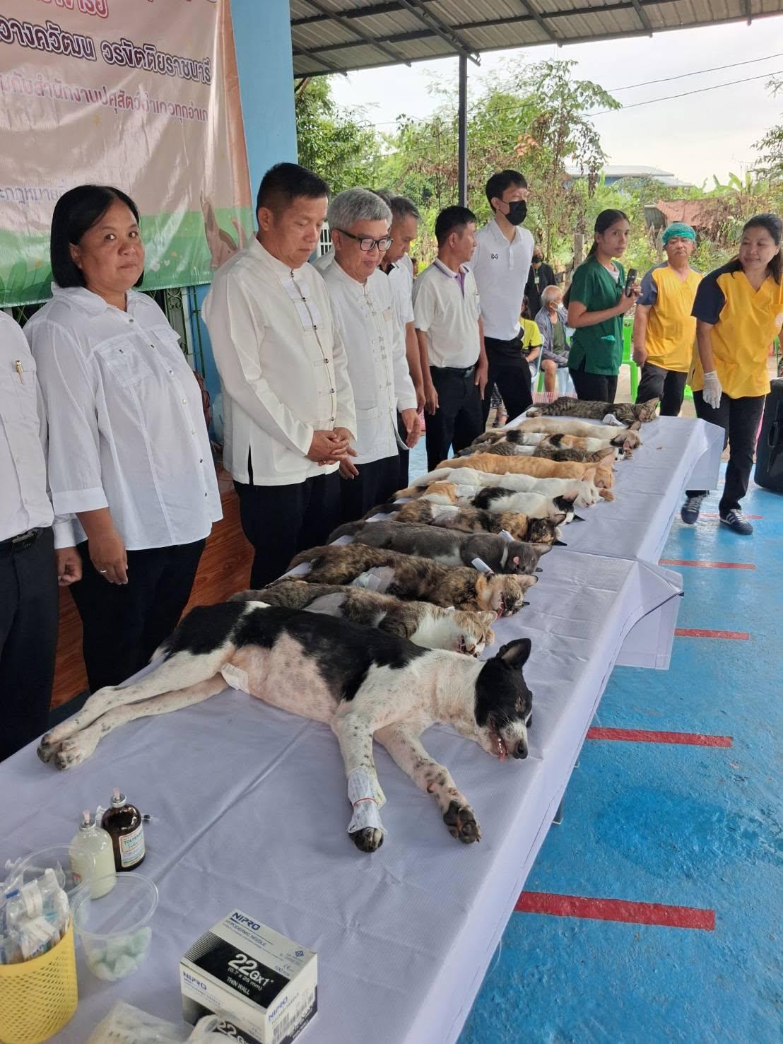 ภาพประกอบที่ 4