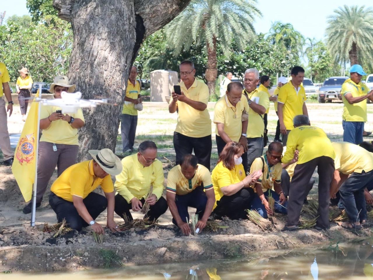 ภาพประกอบที่ 11