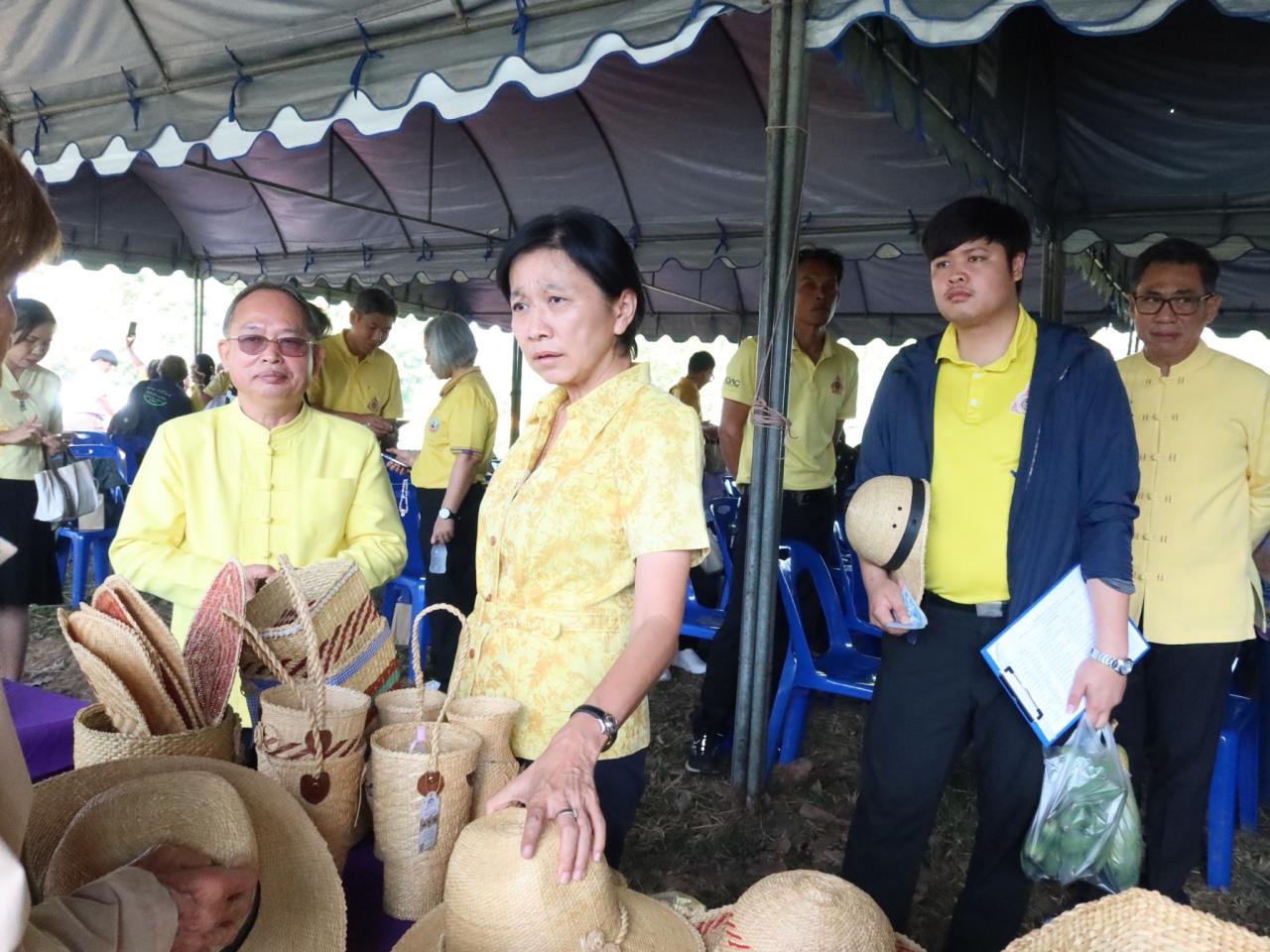 ภาพประกอบที่ 12