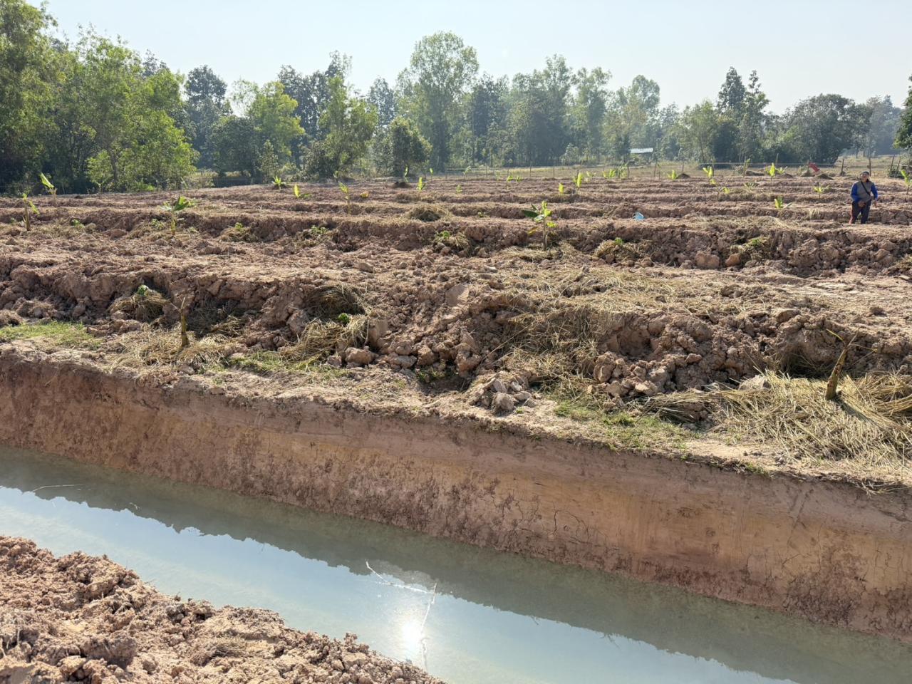 ภาพประกอบที่ 2