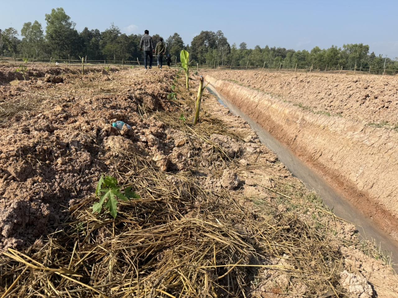 ภาพประกอบที่ 3