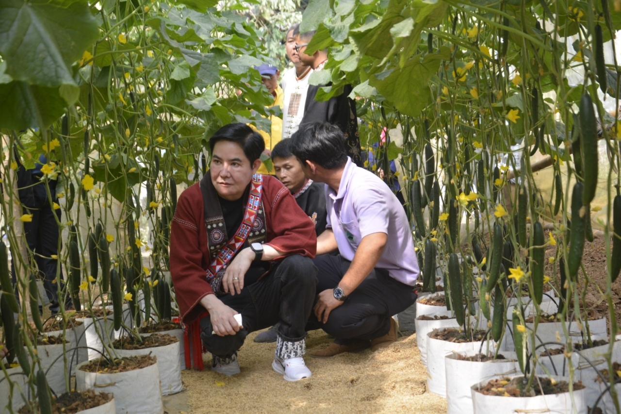 ภาพประกอบที่ 8