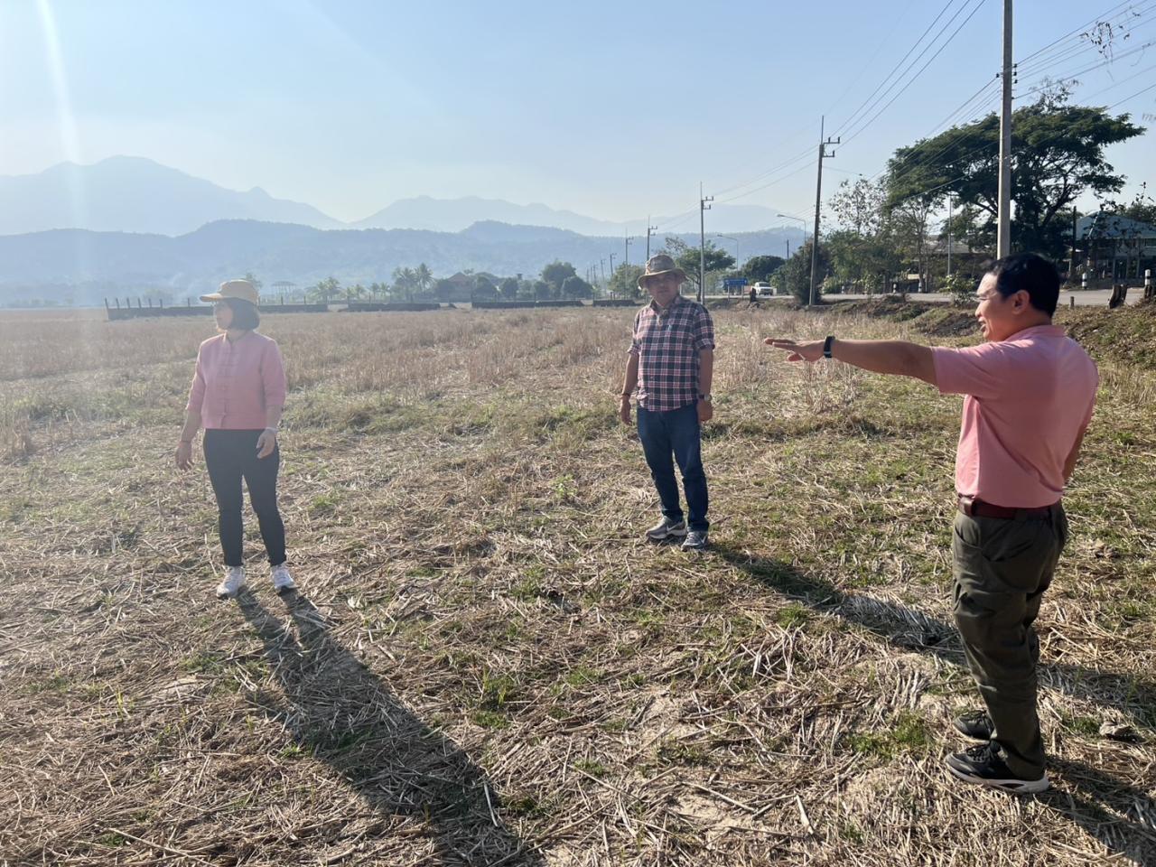 ภาพประกอบที่ 2