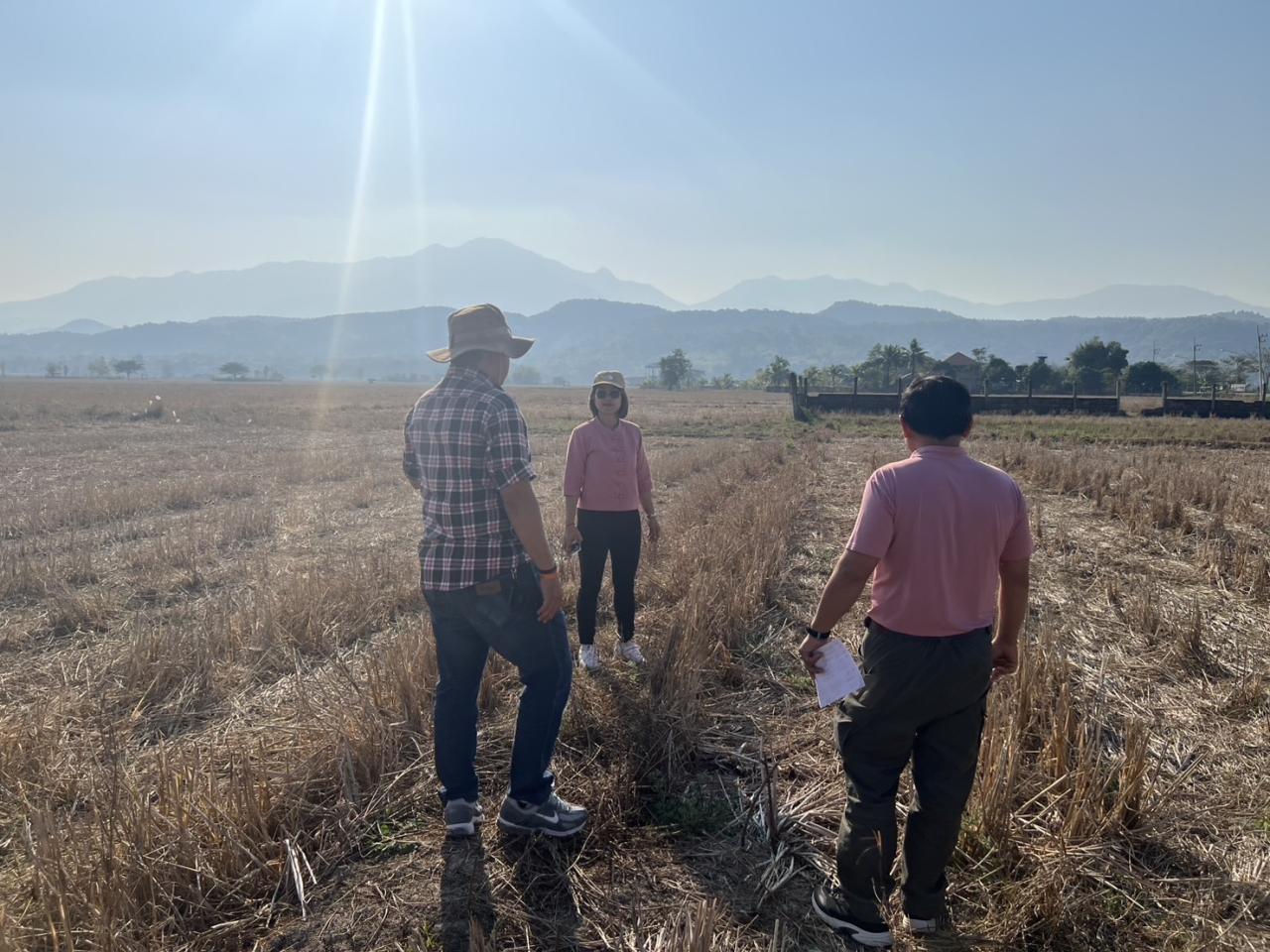 ภาพประกอบที่ 6