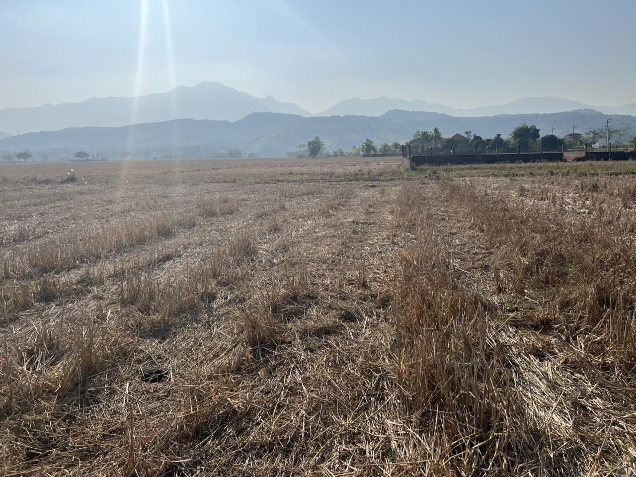 ภาพประกอบที่ 7