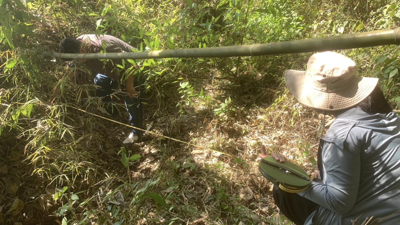 ภาพประกอบที่ 0