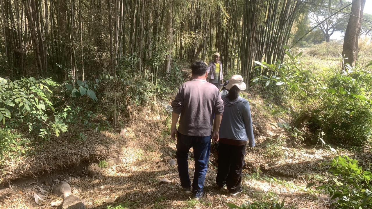 ภาพประกอบที่ 1