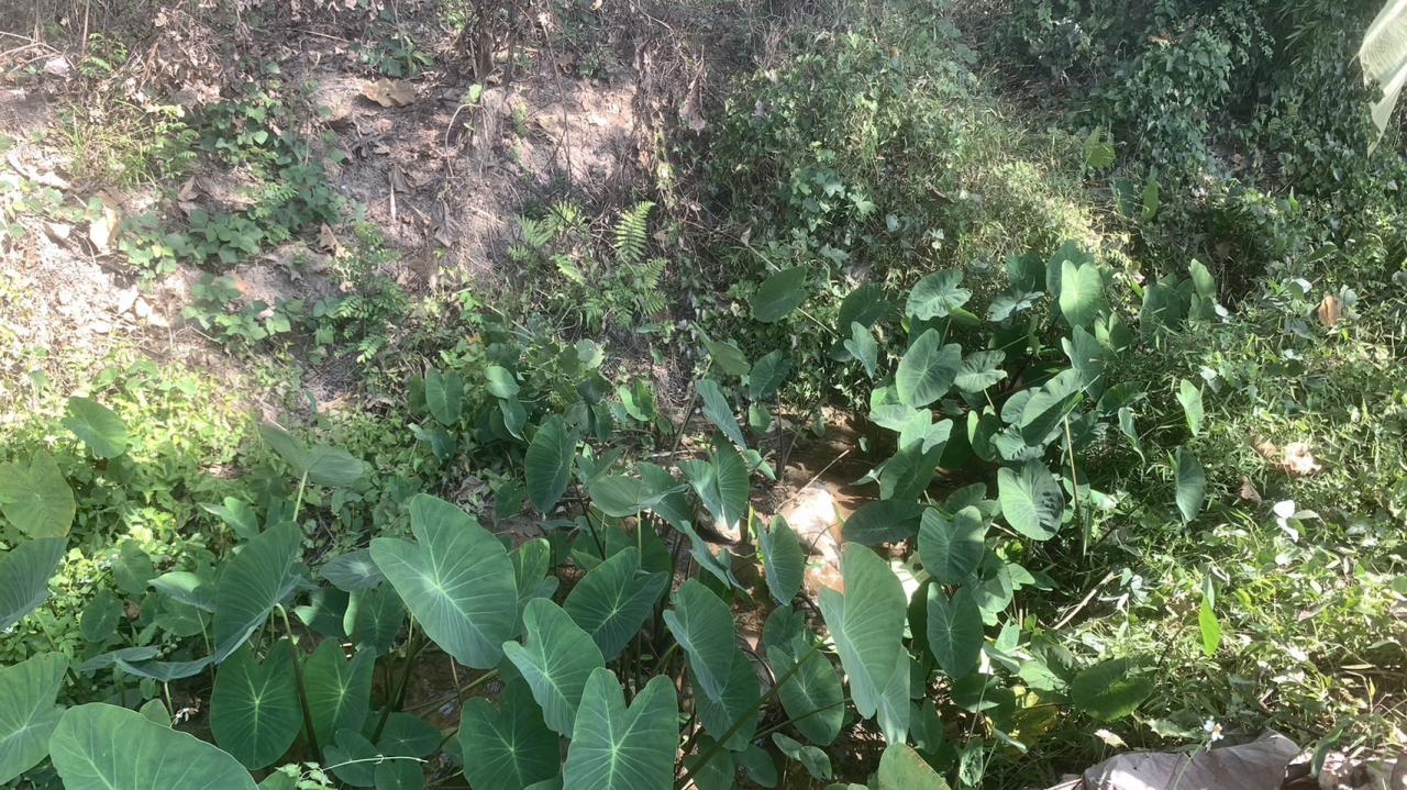 ภาพประกอบที่ 9