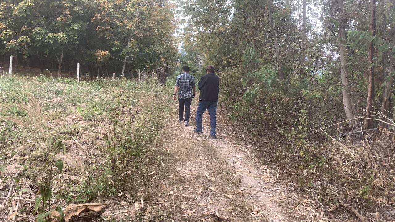 ภาพประกอบที่ 7