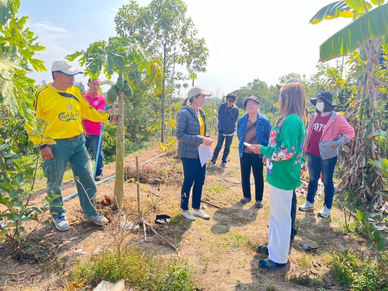 ภาพประกอบที่ 1