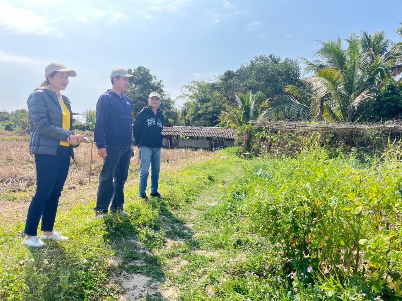 ภาพประกอบที่ 2