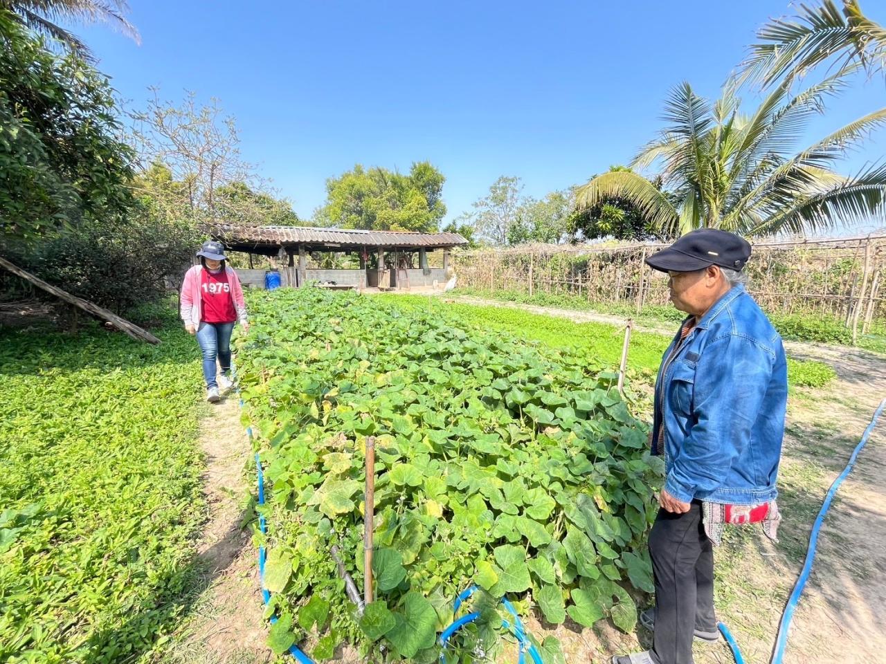 ภาพประกอบที่ 3