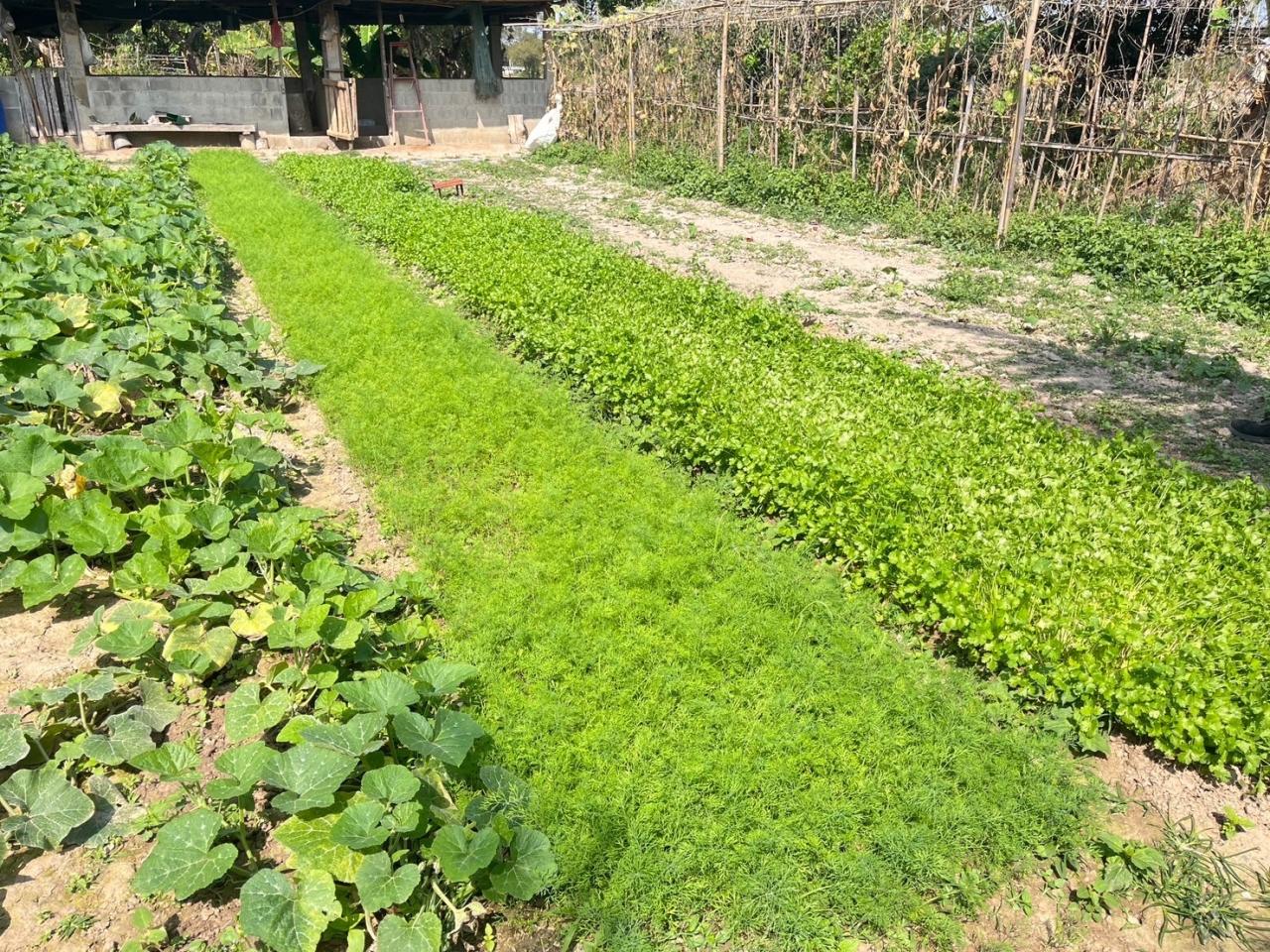 ภาพประกอบที่ 8