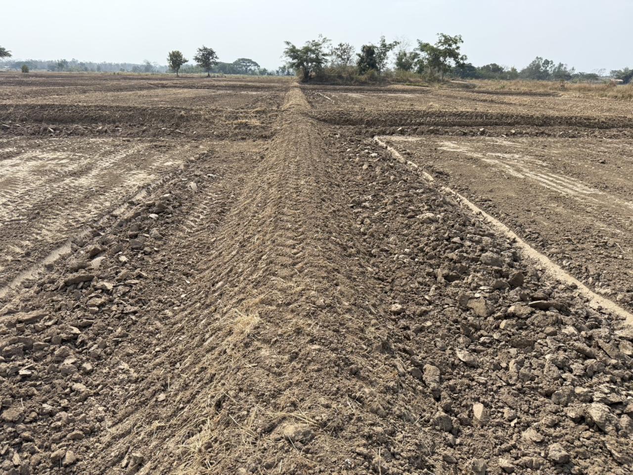 ภาพประกอบที่ 8