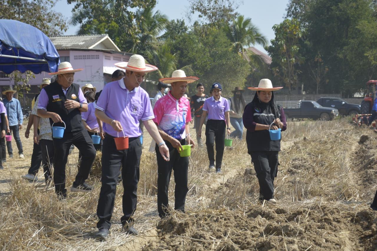 ภาพประกอบที่ 9