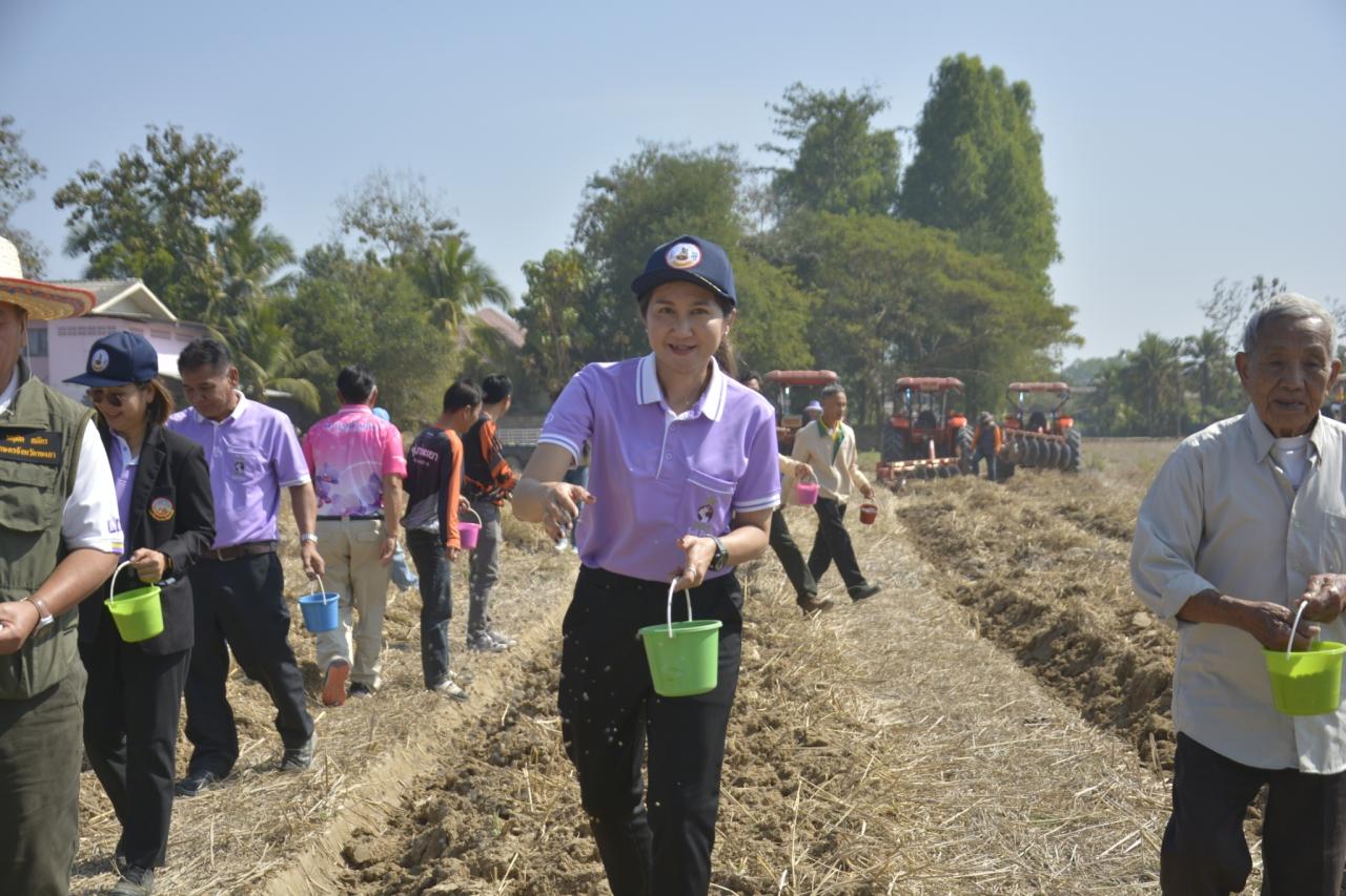 ภาพประกอบที่ 11