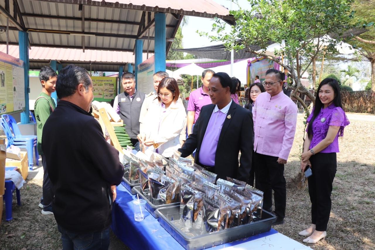 ภาพประกอบที่ 11