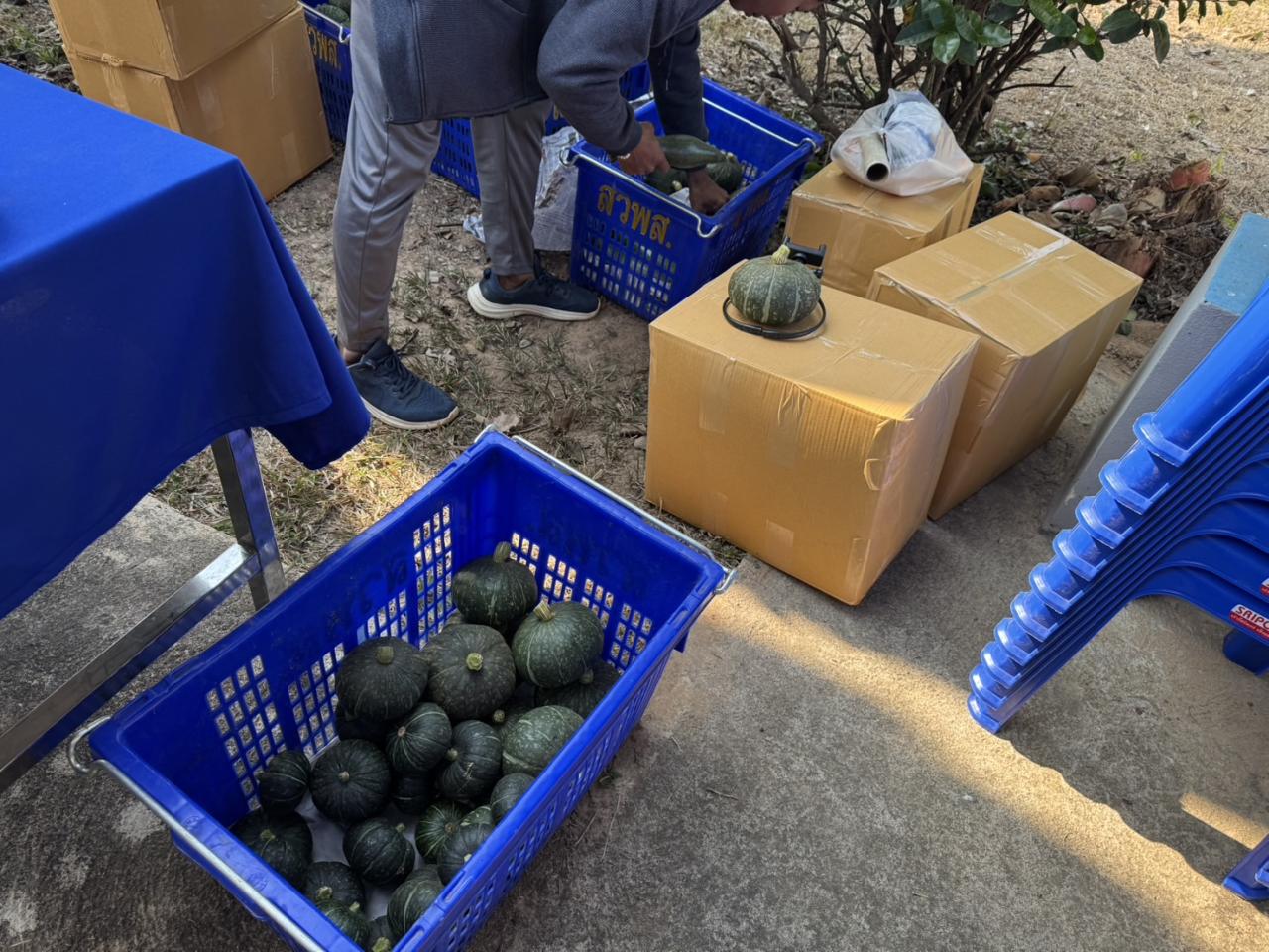 ภาพประกอบที่ 24