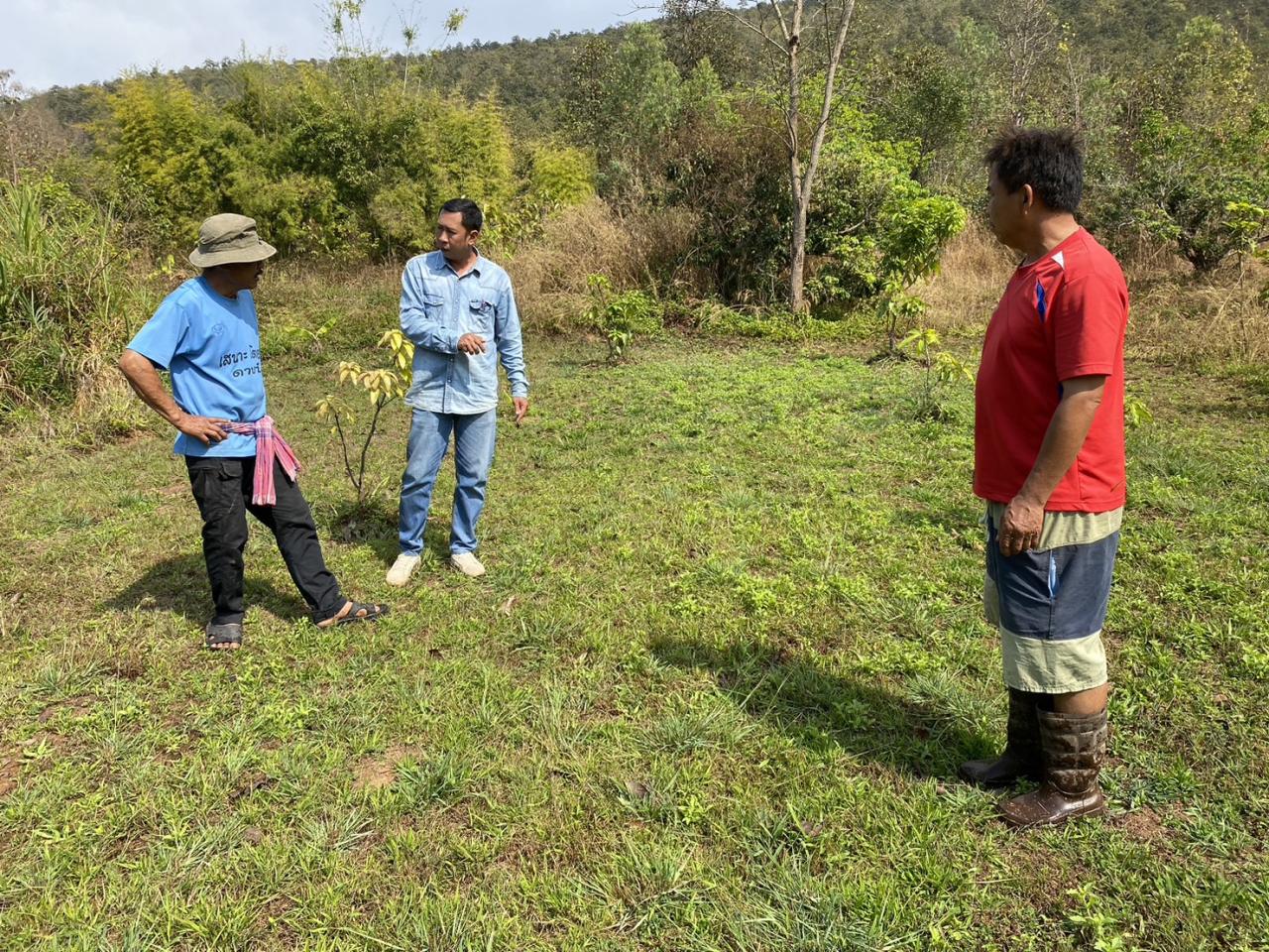 ภาพประกอบที่ 7