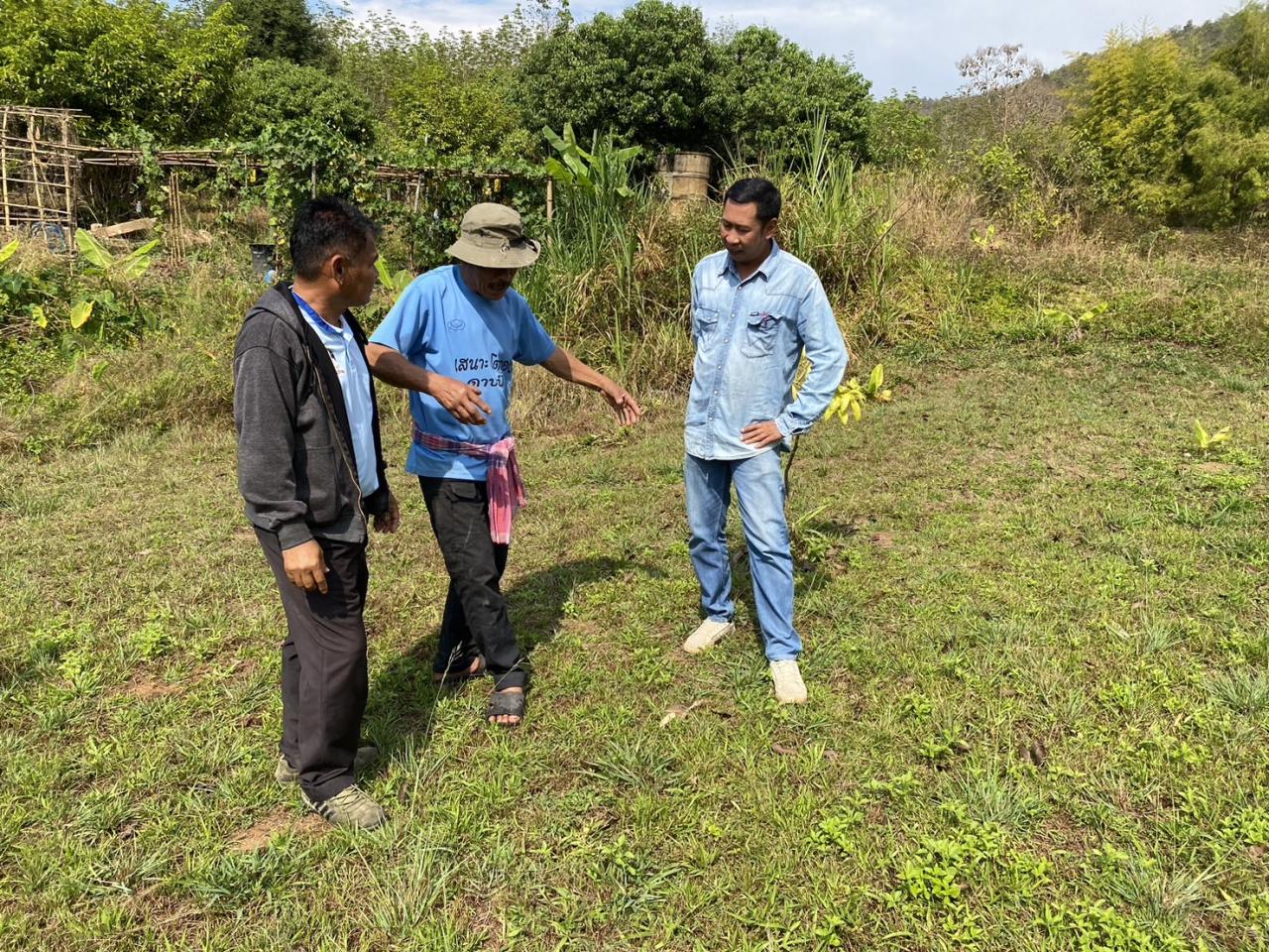 ภาพประกอบที่ 8