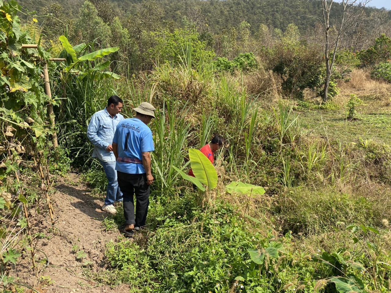 ภาพประกอบที่ 10