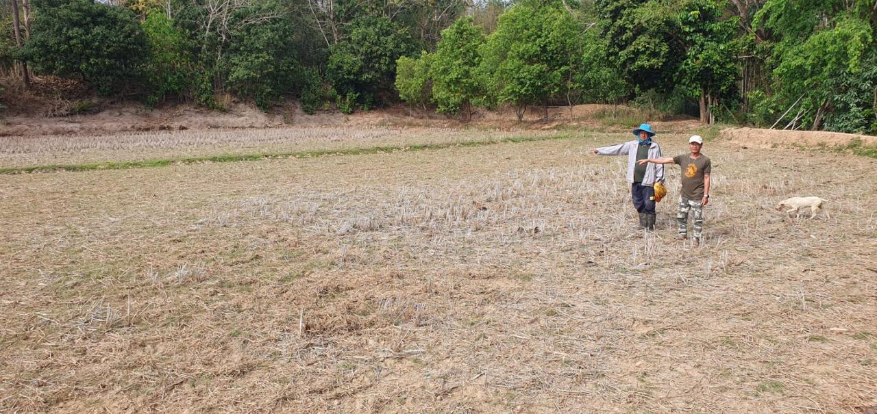 ภาพประกอบที่ 6