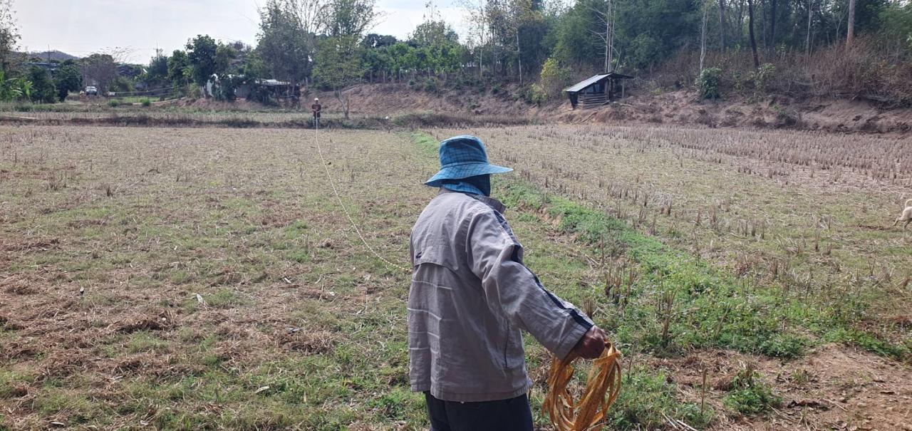 ภาพประกอบที่ 7