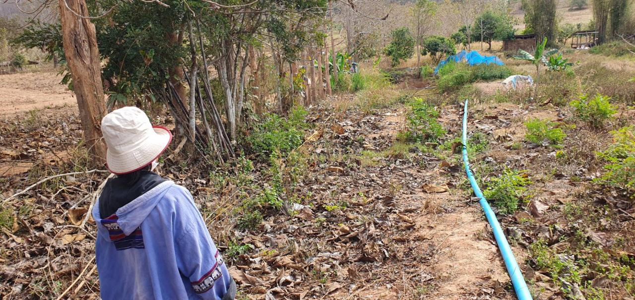 ภาพประกอบที่ 8