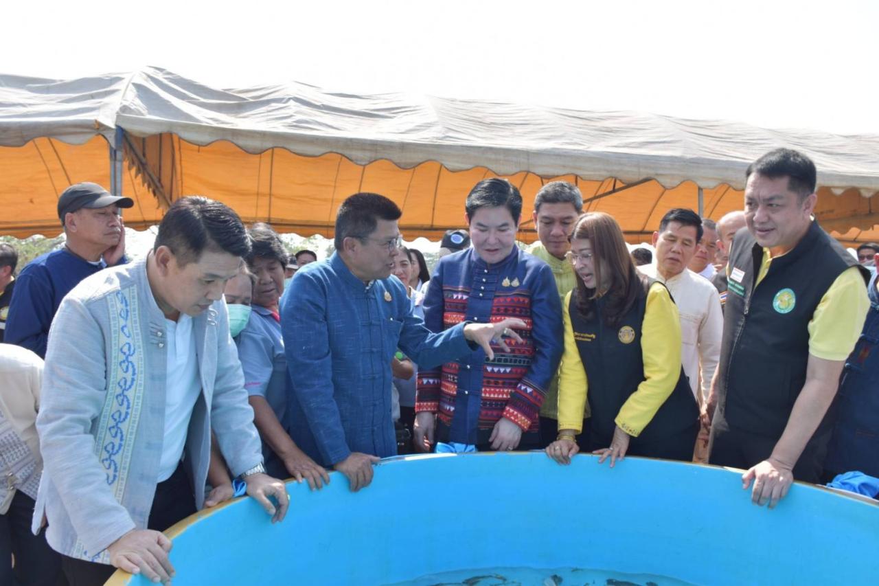 ภาพประกอบที่ 5