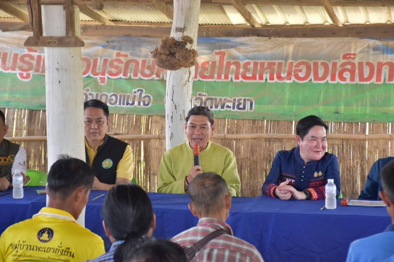 ภาพประกอบที่ 12