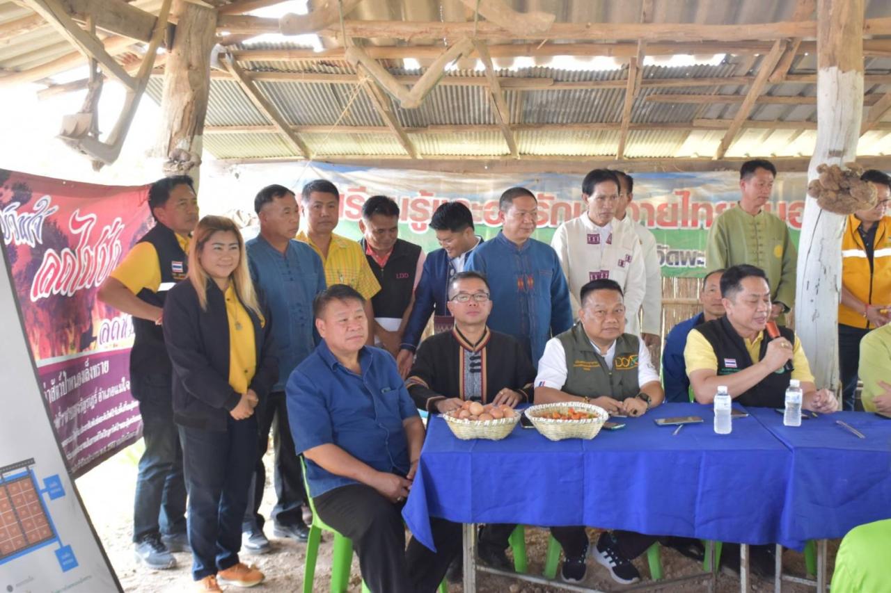 ภาพประกอบที่ 13