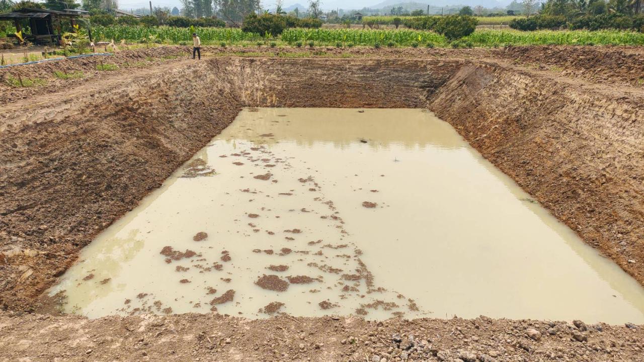 ภาพประกอบที่ 11