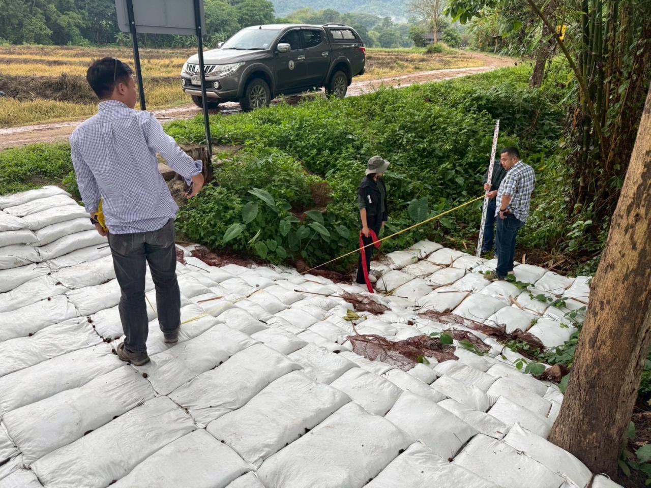 ภาพประกอบที่ 12