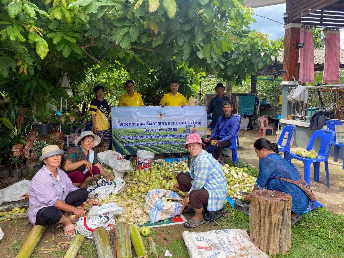 ภาพประกอบที่ 0