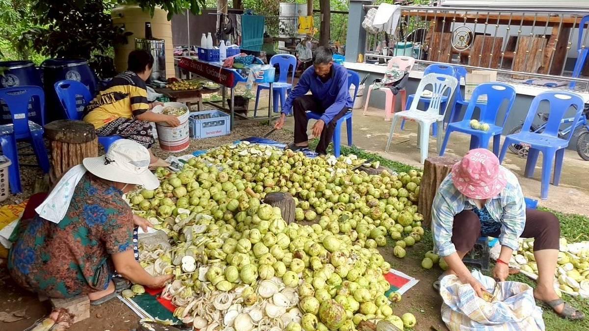 ภาพประกอบที่ 5