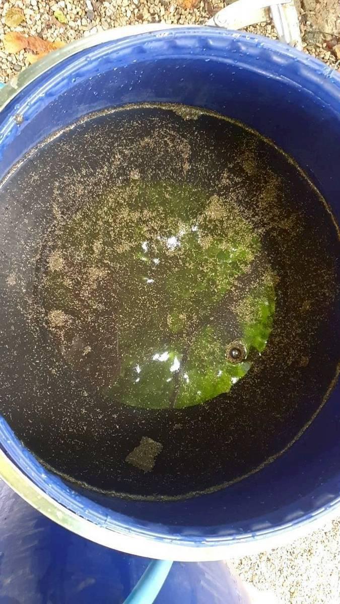 ภาพประกอบที่ 7