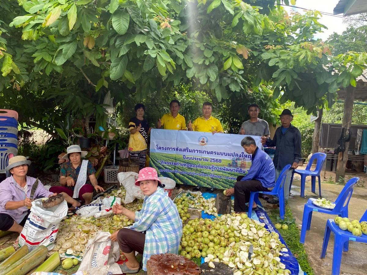 ภาพประกอบที่ 11