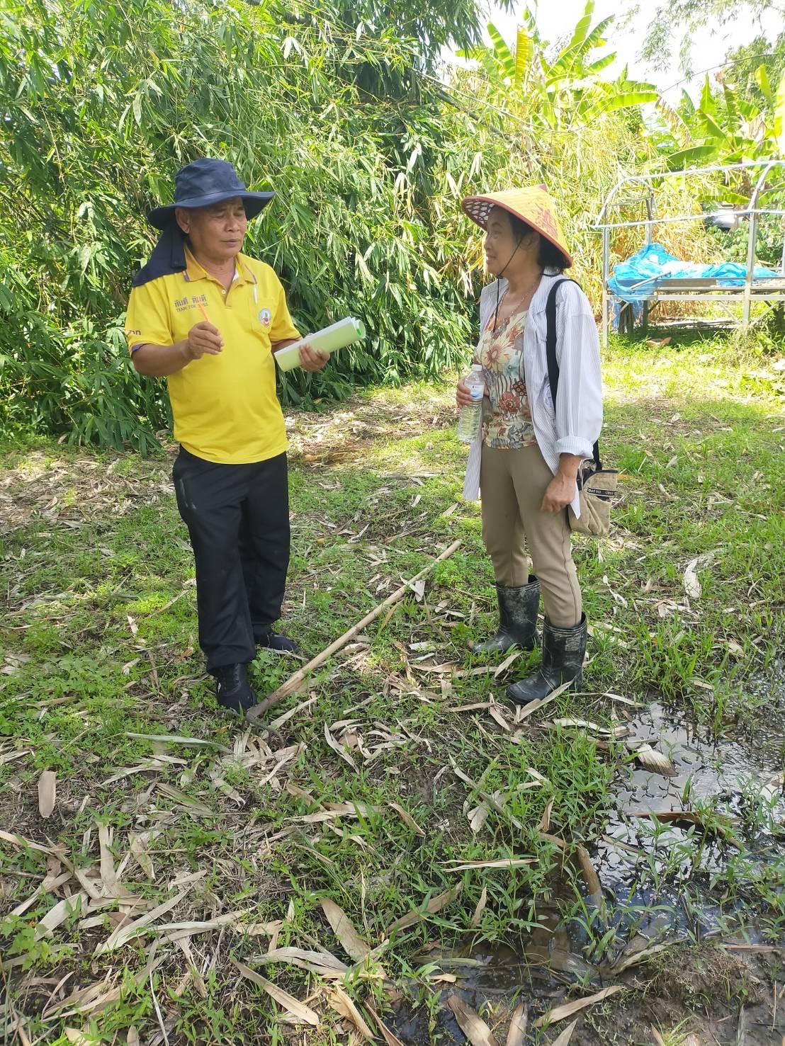 ภาพประกอบที่ 2