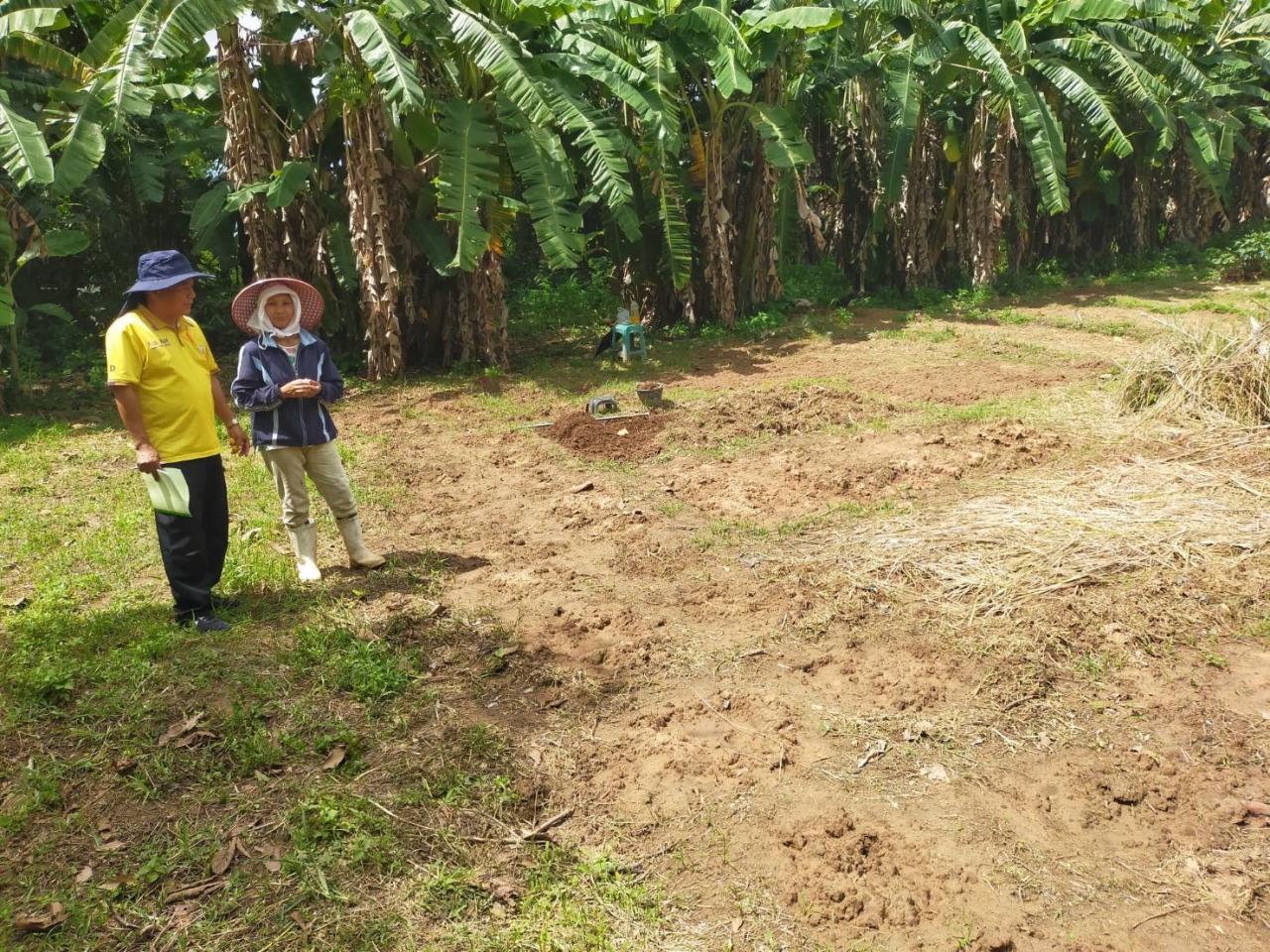 ภาพประกอบที่ 5