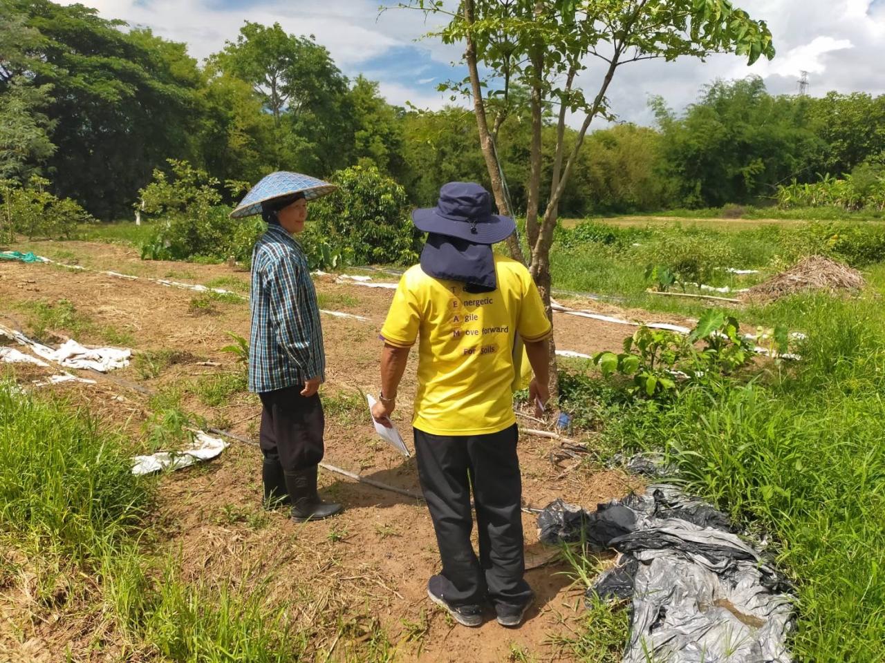ภาพประกอบที่ 6