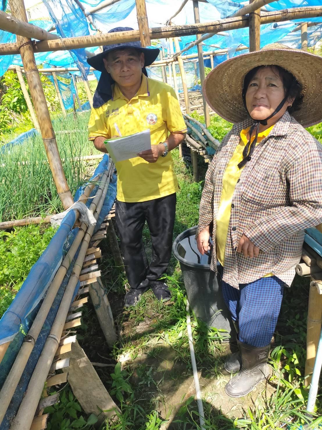 ภาพประกอบที่ 7