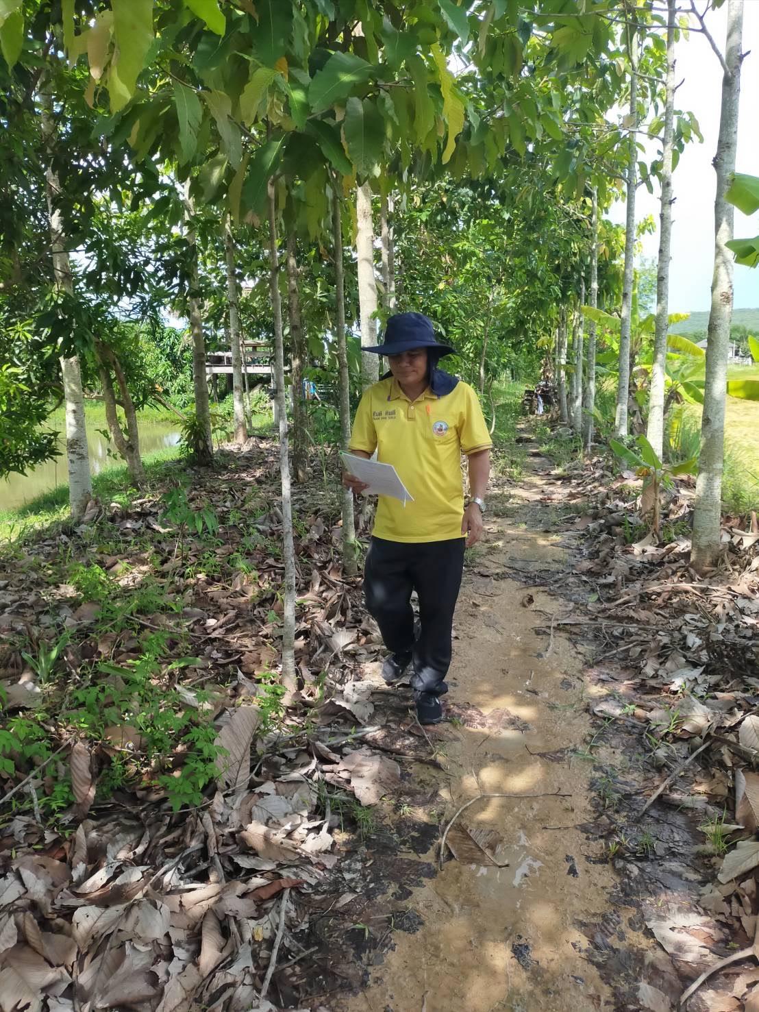 ภาพประกอบที่ 8