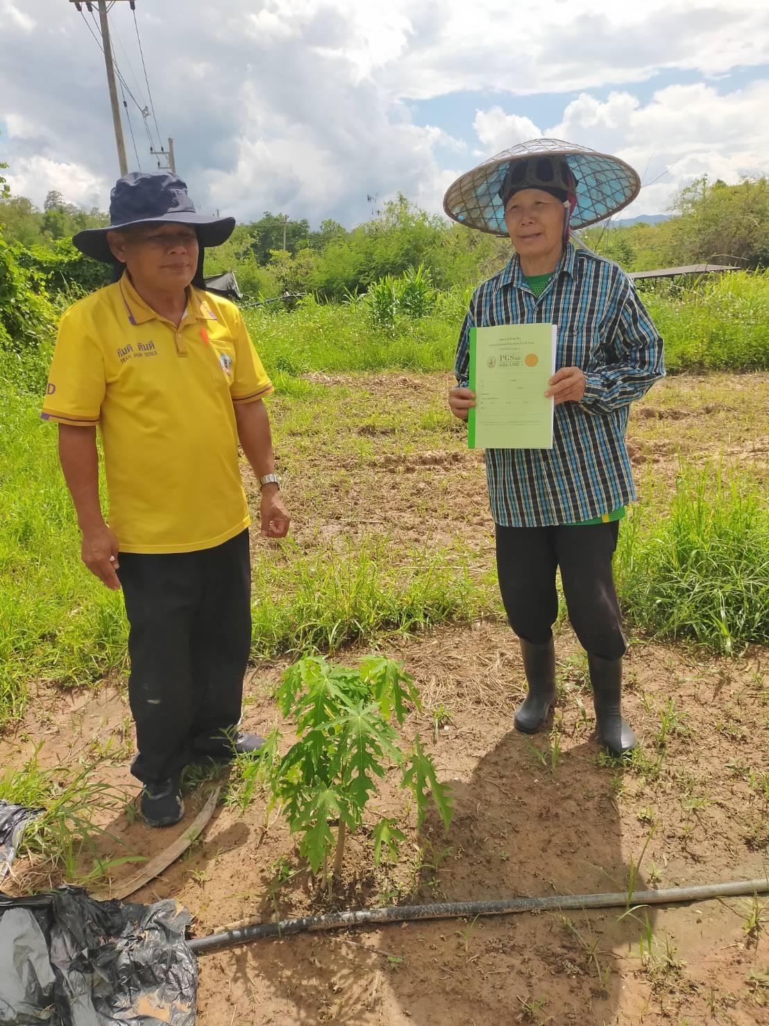 ภาพประกอบที่ 0