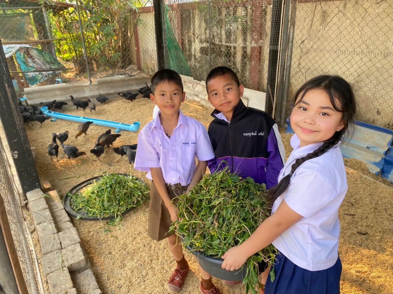 ภาพประกอบที่ 1